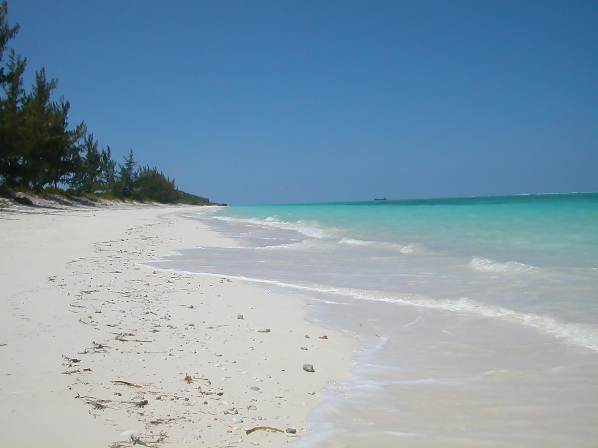 Hollywood Beach Suites Turks And Caicos Whitby Faciliteiten foto